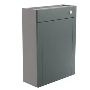 Ashford Matt Green Toilet cabinet (H)820mm (W)600mm