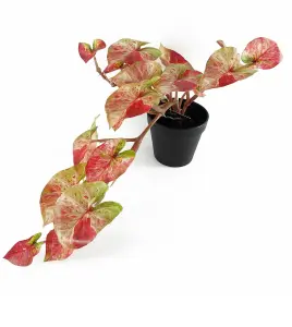 Artificial Hanging Trailing Plant Plant Pink Splash Caladium Botanik