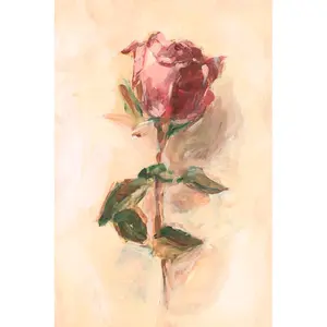 Painterly Rose Study I by Ethan Harper - Wrapped Canvas Painting 30cm H x 20cm W x 3.8cm D