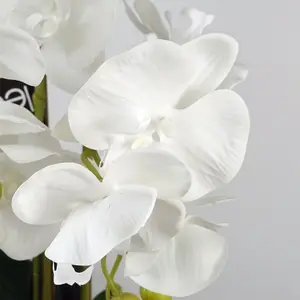 60cm Pure White Orchid with Ceramic Bubble Planter