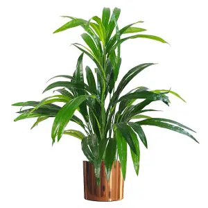 65cm Artificial Realistic Bamboo Shrub Plant with Copper Metal Planter