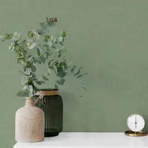 Grandeco Varadero Plain Plaster effect Blown Vinyl Wallpaper, Green