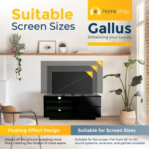 Homeology Gallus Gloss Black with 2-Black Drawers and 2 Shelves up to 55"LED, LCD, Plasma Cabinet TV Stand