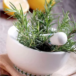 Herb Rosemary 1 Seed Packet (100 Seeds)