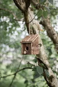 Wild Garden Bird Wooden Nesting Box