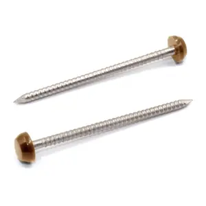 Rapierstar StarPin Polymer Headed Pins - 40mm, Tan