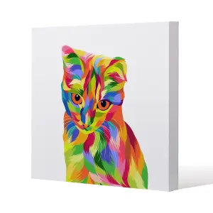 Animal Cat Illustration Pop Art (Canvas Print) / 101 x 101 x 4cm