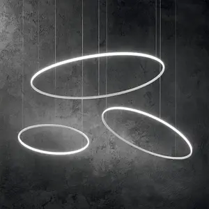 Luminosa Hulahoop LED Decorative Round Integrated Pendant Light White, 3000K