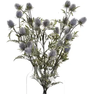 UK Homeliving Eryngium Blue Thistle