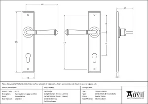 From The Anvil Pewter Regency Lever Espag. Lock Set