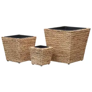 Berkfield Garden Raised Beds 3 pcs Water Hyacinth