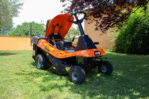 Feider FRT75BS125-SD Compact Side-Discharge Ride-On Mower with Manual Drive & Briggs Engine