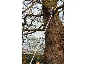 Kent & Stowe 70100496 Telescopic Tree Pruner 3m K/S70100496