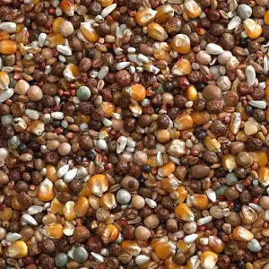 Bucktons Breeding Seed Mix 20kg