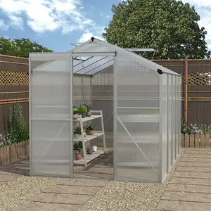 Polycarbonate Greenhouse Aluminium Frame Walk In Garden Green House ,Silver,10x6 ft