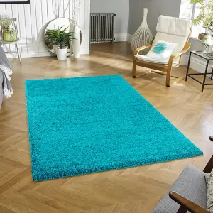 Wadan 60x110cm Teal Blue Shaggy Rug - Rectangular Soft Touch Thick Pile Modern Area Rug - Rugs for Living & Bedroom Non Shedding