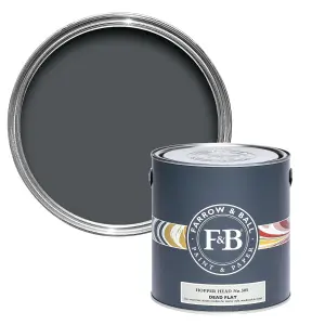 Farrow & Ball Dead Flat Mixed Colour 305 Hopper Head 2.5 Litre