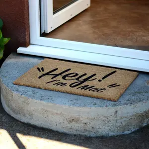 Hey I'm Mat Novelty Doormat Unique Coir Doormats Front Funny