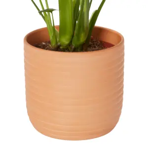 Verve Monstera Terracotta Decorative pot 13cm