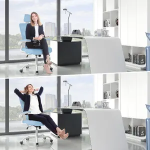 Computer Chair with Adjustable Lumbar Support and Headrest, Swivel Executive Mesh Office Chair for Home Office-Blue