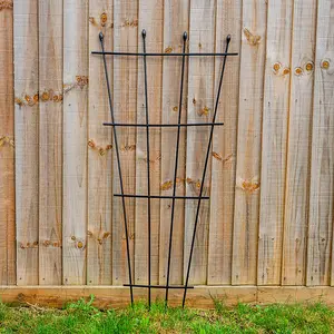 Woodside Metal Garden Fan Trellis - 2 PACK