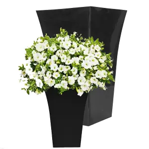 1x Tall Black Milano Shiny Gloss Finish Plastic Flower Planter For Home & Gardens