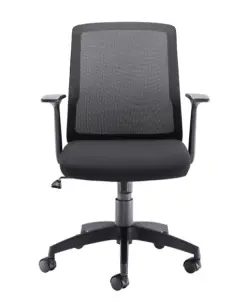 Rainbow Zebra Mesh Back Computer Chair with Fixed Arm Rests