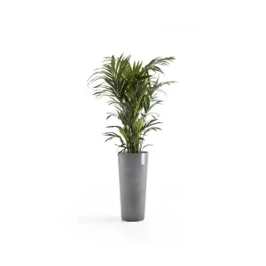 Amsterdam High Vase Ecopot  Grey