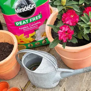 Miracle Gro Azalea Ericaceous Pot Compost Camellia Rhododendron Peat Free 10L