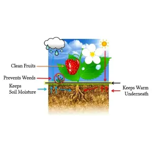 1 x 5 m / 3.2 x 16.4 ft Weed Control Membrane, Weed Control Woven Fabric, Ground Cover Sheet, 100 GSM, UV Stabilised + 20 Pegs