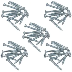 PH2 Dome Headed Phillips Wood Screws 4mm x 30mm Fastener Fixings 60pc