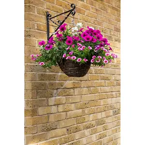 Ambador Willow Plant Hanging Basket Brown (14in)