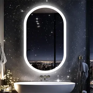 Oval LED Wall Mirror 80cm H x 50cm W