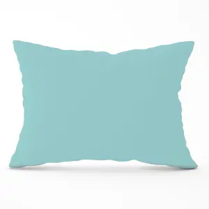 Robin Egg Blue Cushions 33cm x 48cm