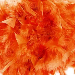 Eye-Catching and Modern Small Orange Feather Decorated Pendant Lighting Shade