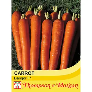 Carrot Bangor F1 Hybrid 1 Seed Packet (450 Seeds)