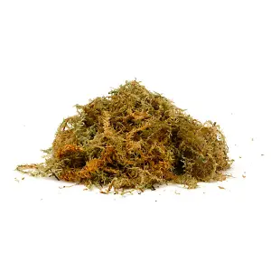 Sphagnum Moss for Potted Plants - Organic Moisturizing Nutrition Fertilizer