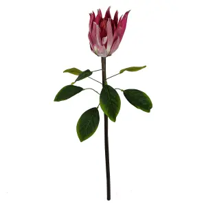 Pack of 6 x 65cm Protea Sugarbush Flower Stem - Pink