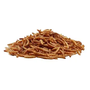 Happy Beaks Dried Mealworms For Wild Birds High Energy, High Protein Premium Bird Food (1kg)