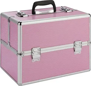 Large Pink Vanity Case