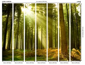 Origin Murals Green Sunlight Through Trees Matt Smooth Paste the Wall Mural 350cm wide x 280cm high