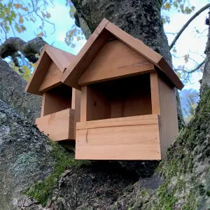 Large Wooden Robin Birdhouse Garden Nest Boxes (Set of 2)