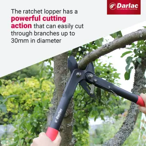 Darlac Handy Ratchet Lopper, DP875