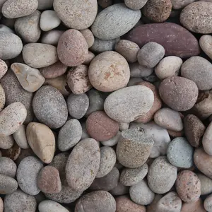 simpa 20-30mm Scottish Pebbles Bag 20kg