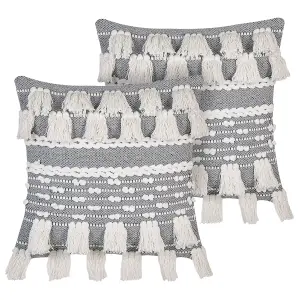 Set of 2 Cushions BRAHEA Cotton 45 x 45 cm Striped Grey