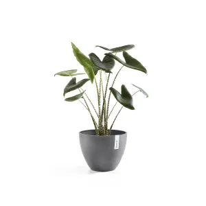 Antwerp Smooth Finish Ecopot 50cm Grey