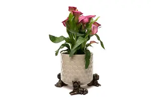 Yorkshire Terrier Plant Pot Feet - Set of 3 - L7 x W4.5 x H6.5 cm