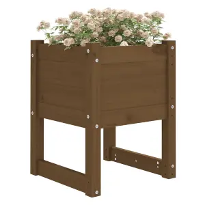 Berkfield Planters 2 pcs Honey Brown 40x40x52.5 cm Solid Wood Pine