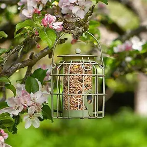 Small Green Bird Feeder for Seeds