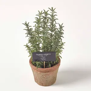 Homescapes Artificial Thyme Plant in Decorative Pot